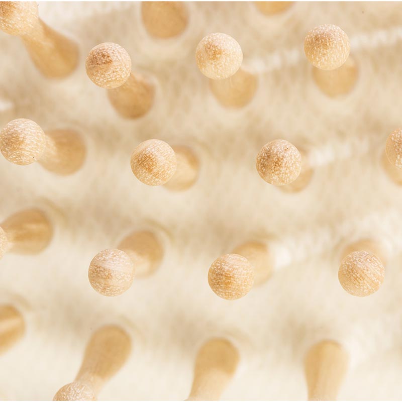 Hairbrush with wooden pins made of beechwood for thick hair