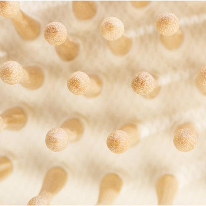 Hairbrush with wooden pins made of beechwood for thick hair