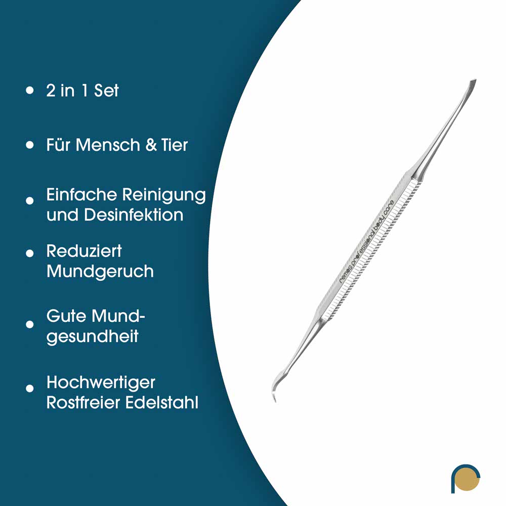 Zahnsteinentferner kombiniert 12cm Edelstahl rostfrei