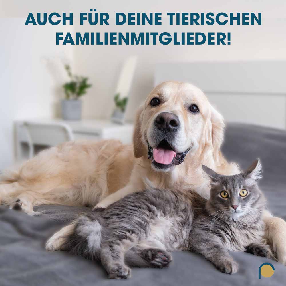 Zahnsteinentferner kombiniert 12cm Edelstahl rostfrei