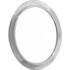 mirror with magnification